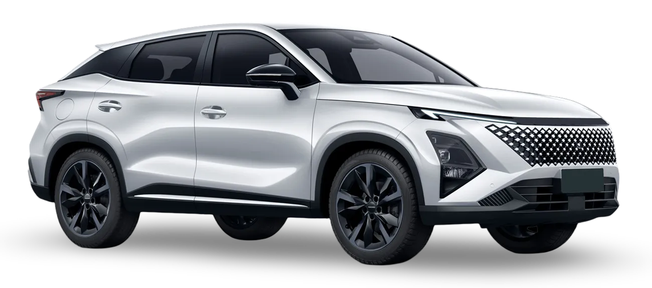 selected car